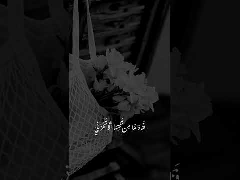 ❤️ #اشتراك #اكسبلور #لايك #قرآن 🌹