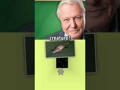 Presidents Learn About Animals in Class... #ai #meme