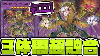 【遊戯王】 超融合で決まると脳汁が出る有能融合体 『捕食植物トリフィオヴェルトゥム』  【ゆっくり解説】