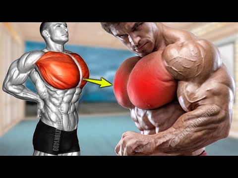 Fastest Big Chest Workout Guide