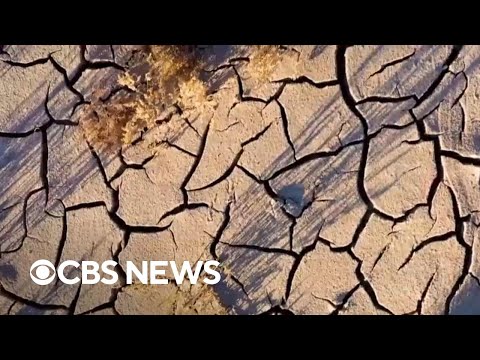YouTube video thumbnail: Earth Has Seen Some of Its Worst Droughts Ever Recorded in Last Two Years, Report Finds