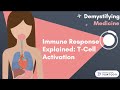 T Cell Activation and Immune Response