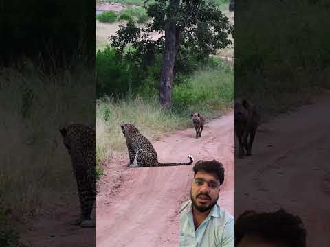 Duniya ki sab se pyari awaaz 🥰 #azan #islamicvideos #islamicstutus #shortsfeed #quran #shorts #azma