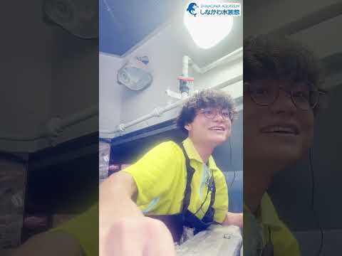 水族館飼育員のゆるゆるVlog⑪＠しながわ水族館【魚類】