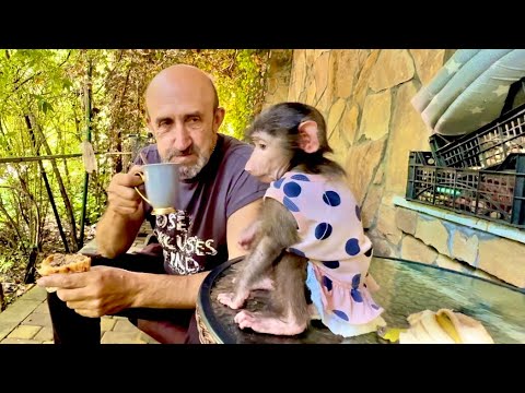 Анфиса с папой Владом и чаек попьют, и самсу поедят, и мотоцикл починят)