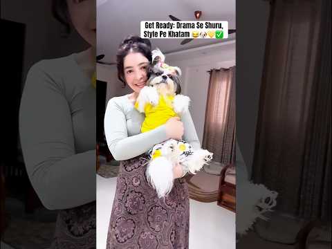 OMG 😱 Don’t Miss! Get Ready Yellow Day 🐶💛🐾#shitzu #ytshorts #cutedogs #getready #pets #style