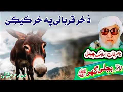 Molana Bijli Ghar رحمته الله علیه poshto bayan  دَ خر قربانی په خر کیګی
