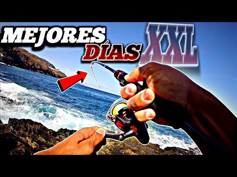Recompilación de las MEJORES Pescas y Momentos a Rockfishing 😳🔥 - Canarias | YoSoyHader 🎣