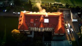 Lásky s vůní Jedle - teaser Kočka Jedlička