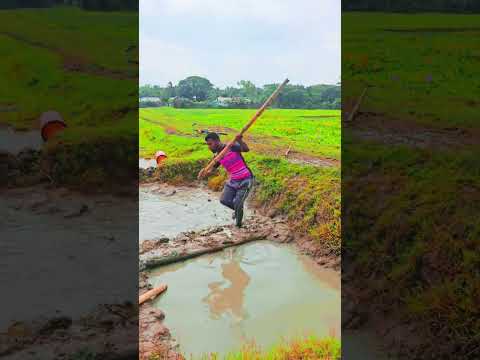 #গরমের_গান #comedysong #goromlagekhub Only Entertainment 520
