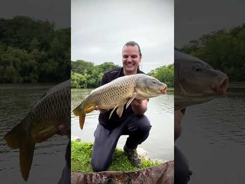 NYC big fish! :)