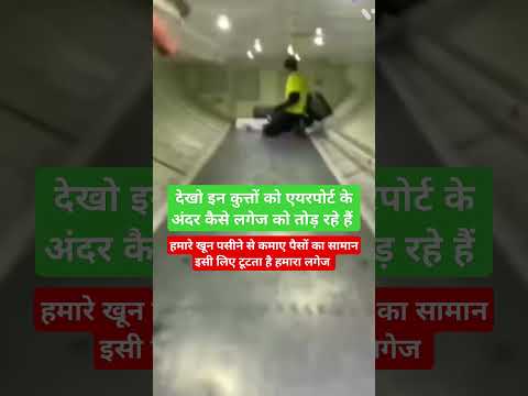 देखो एयरपोर्ट के अंदर कैसे हमारे लगेज को तोड़ा जाता है। AIRPORT | AIRPORT LAGGAGE | SHAME ON YOU |