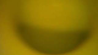 OMG Blinking Toilet Creature!!! Alien White Water Mold?  What Could This Be???? Please Comment!