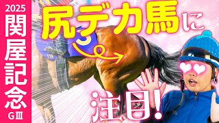 【関屋記念 2025】３年連続で本命好走中の得意重賞！開催前倒し＆ハンデ戦になっても「トモデカ馬」に要注意！【競馬予想】