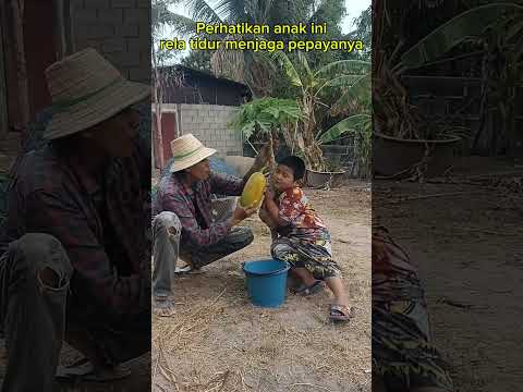 Anak ini pura-pura tidur #shortvideo #comedy #tipeketawa #funny #memengakakkocak #lucu #ngakak #fyp