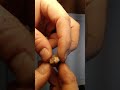 Mineral Hardness and Properties