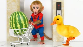 Bon Bon Si Monyet Kecil Pergi ke Supermarket & Makan Semangka di Taman Bersama Anak Bebek 🍉🐵🦆