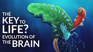 What Was The First Brain? 