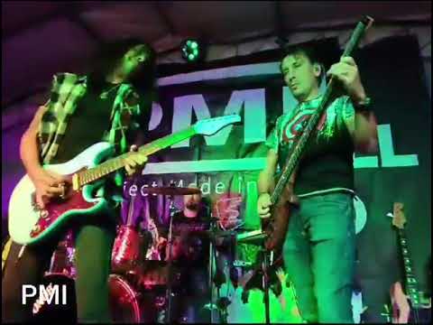 PMI Tributo Vasco, Ligabue e Negrita