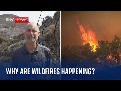 Why are wildfires happening?
