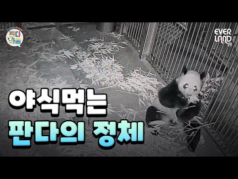 [ENG]쌍둥이 판다, 루이바오&후이바오의 새 보금자리를 소개합니다💚 | #루이바오 #후이바오 #세컨하우스