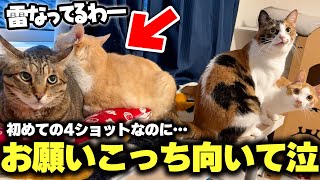 動画サムネイル