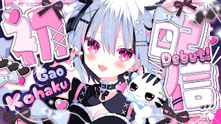 〖 初配信 〗みんなに愛にきた～！💘もふ可愛アイドルVtuber、虎珀ガオです！🤍⛓〖新人Vtuber/#虎珀ガオ初配信〗