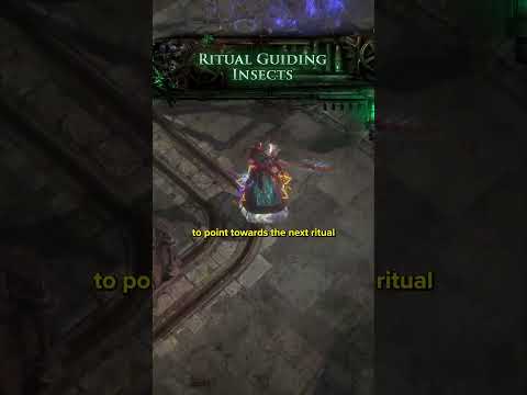 Path of Exile 1: Quality of Life Improvements