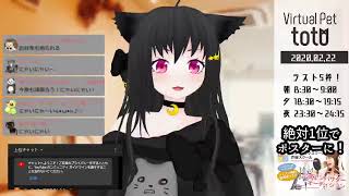 【SHOWROOM】totoฅ•ω•ฅとある猫カフェ＜ミラー配信＞