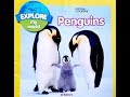 Emperor Penguins in Antarctica