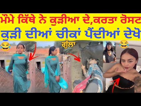 ਕੁੜੀਆ ਦੇ ਟੋਟਰੂ ਕਿੱਥੇ ਨੇ😂 Punjabi Roast video 2025 😳 Punjabi Girls Going Viral social media😳 Roast