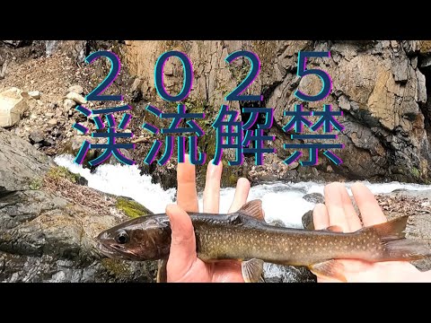 渓流釣りがしたくなって・・・2025年初渓流釣行