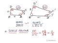 Exploring Similar Polygons in Geometry