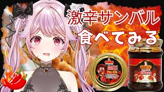 【激辛】サンバル初体験！ただサンバルを食べてみるだけの配信【 朔桜衣澄/ Actors To Live! 】#vtuber #初見歓迎