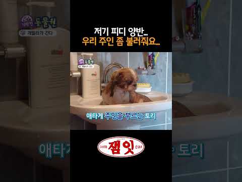 ｜#기막힌동물원 #<strong>강아지</strong>