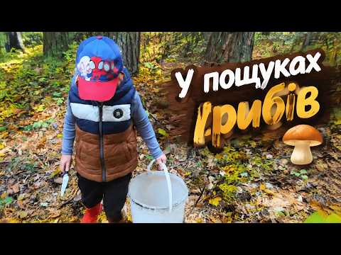 Сімейне полювання на гриби 🍄 Хто знайшов найбільше