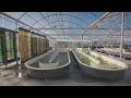 Microalgae Cultivation and Extraction Methods