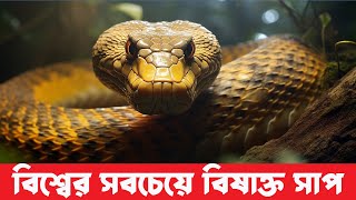 বিশ্বের সবচেয়ে বিষধর ৫ টি সাপ| venomous snake in Bangladesh