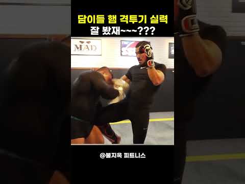 112kg 보디빌더 김건우.. 그의 격투기 실력은 '진짜'일까?