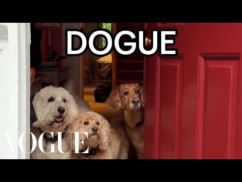 Celebs's Dogs on the Cover of DOGUE