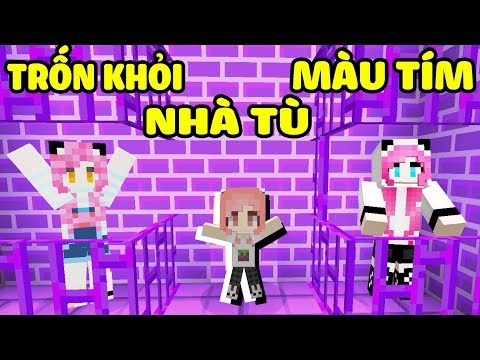 CHỊ PANDA MỀU THỬ THÁCH 24 GIỜ TRỐN KHỎI NHÀ TÙ MÀU TÍM TRONG MINECRAFT*HEBI TRỐN TÙ MÀU TÍM