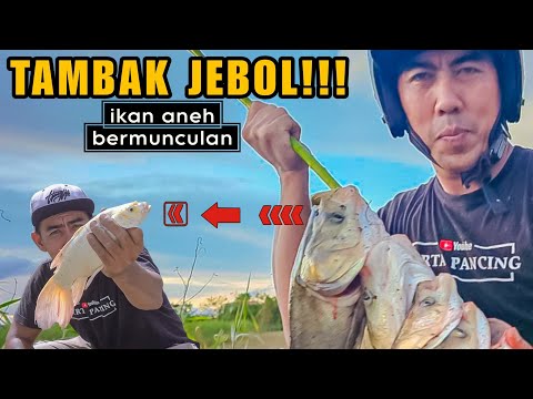 Didatangi Orang Tua&muncul Ikan Aneh,,!! Pemancing ini dapat rezeki di luar dugaan