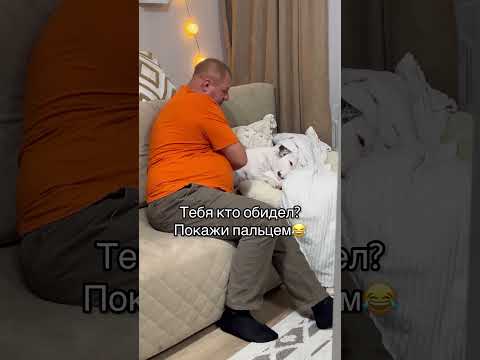 Папа и Тэффи❤️ #глухаятэффи #глухаясобака #dog