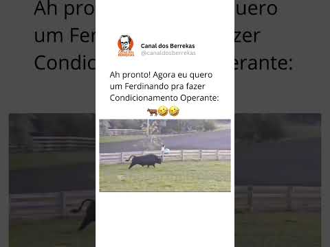 O PET do interior é diferenciado 🤣🐂 #pet #behaviorismo #psicologia #comportamento