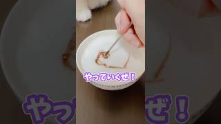 【検証🔍️】どうなる？イラストレーターがラテアートでお絵描きした結果🎨！？