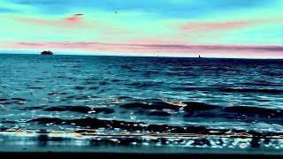 Red Vox -  As Long As I Can Dream