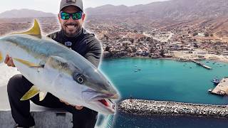 Así se PESCA en ISLA CEDROS - La CAPITAL del Jurel Yellowtail