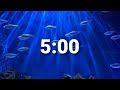 비디오 튜토리얼 퀴즈