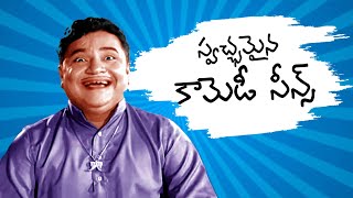 స్వచ్ఛమైన కామెడీ సీన్స్ || Telugu Popular Comedy Scenes || Telugu Comedy Club