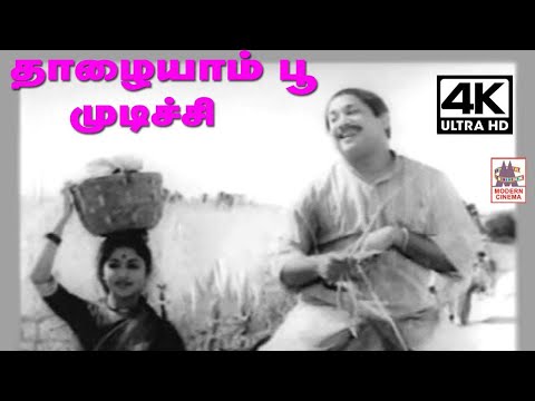Thazhaiyam Poo Mudichu M.S.விஸ்வநாதன் - ராமமூர்த்தி இசையில் TMS,P.லீலா பாடிய தாழையாம் பூ முடிச்சி...